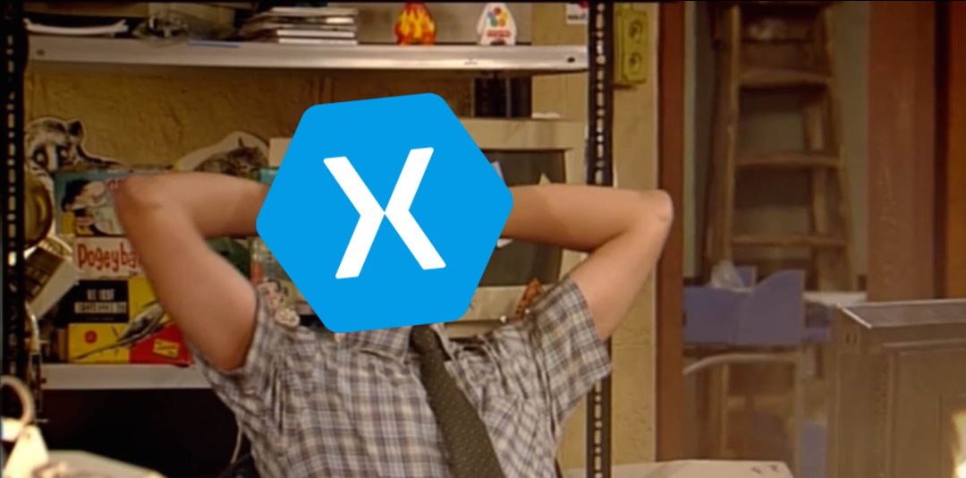 Xamarin.Forms LazyView: boost your app reactivity and startup time